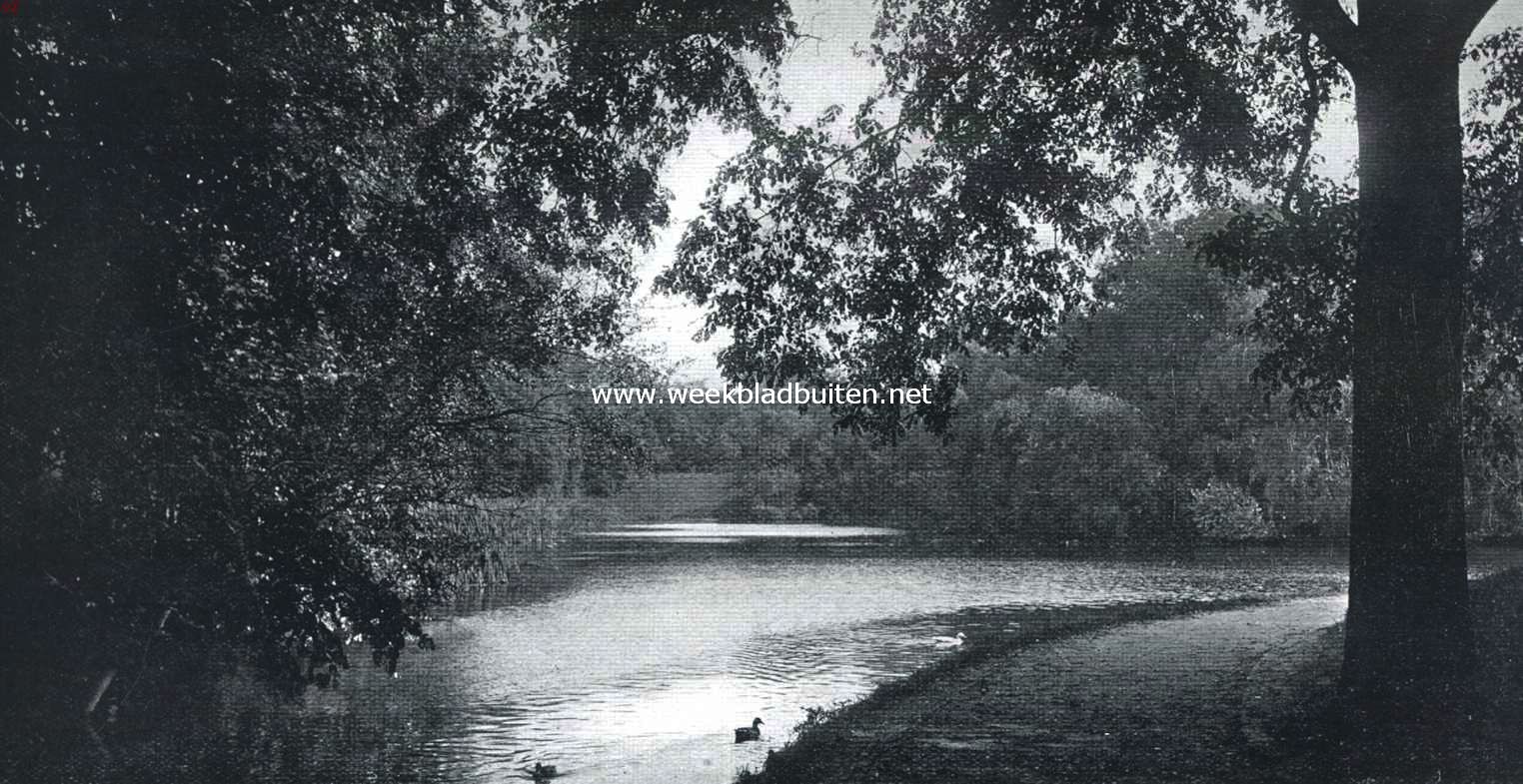 Waterpartij in de Scheveningsche Boschjes
