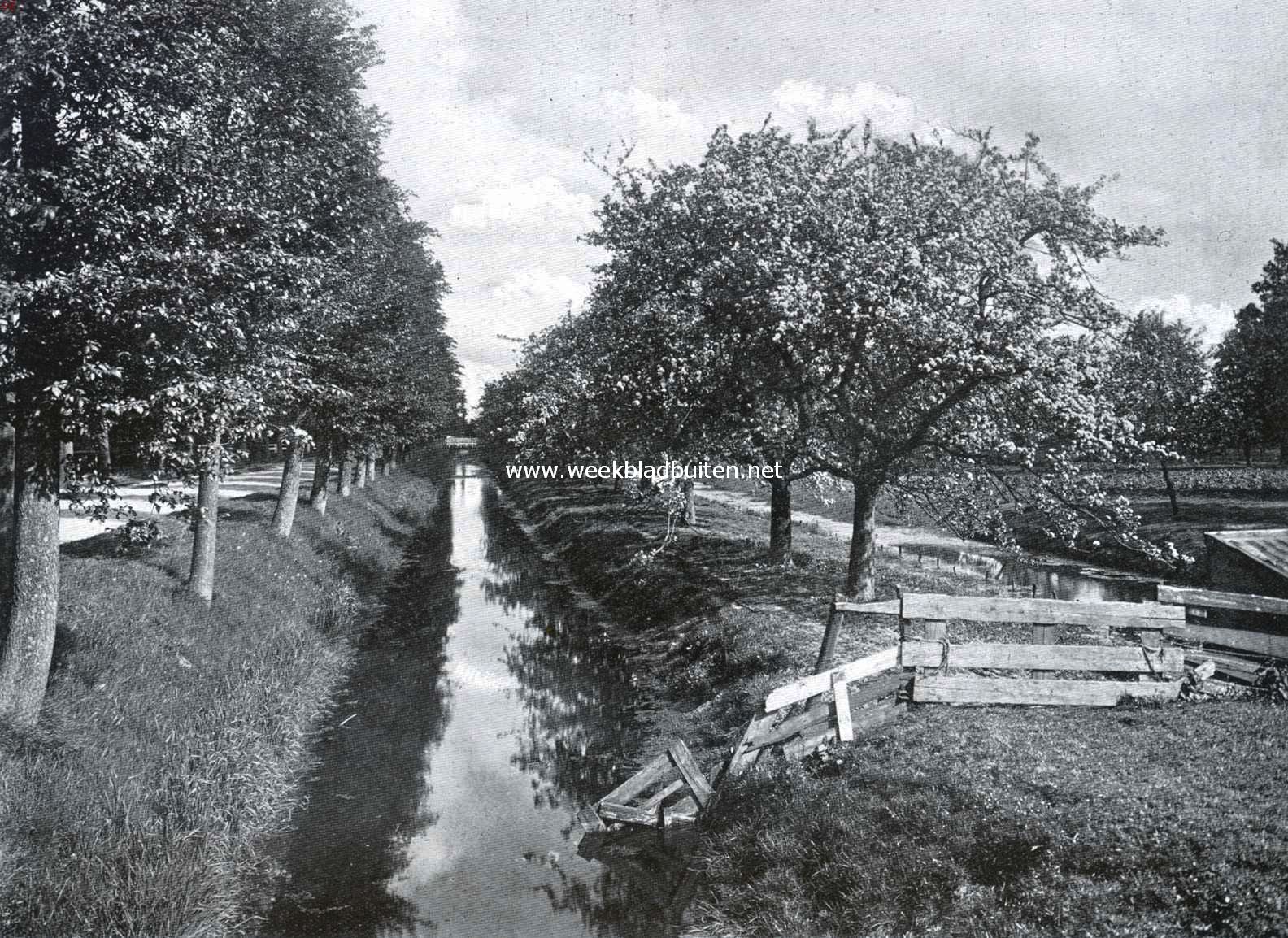 Onze mooiste polder. Bloesemweelde aan de Volgerweg (bij Zwaansvliet) in de Beemster