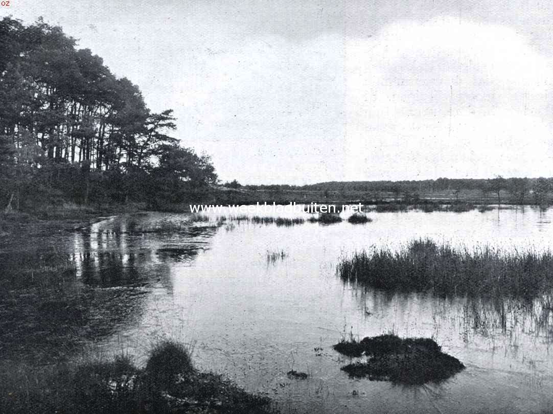 De Henschoter Plas onder Woudenberg