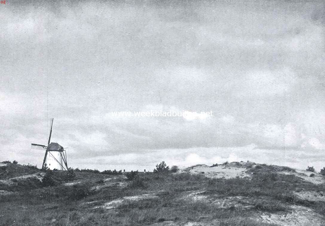 Molen bij Hoogerheide
