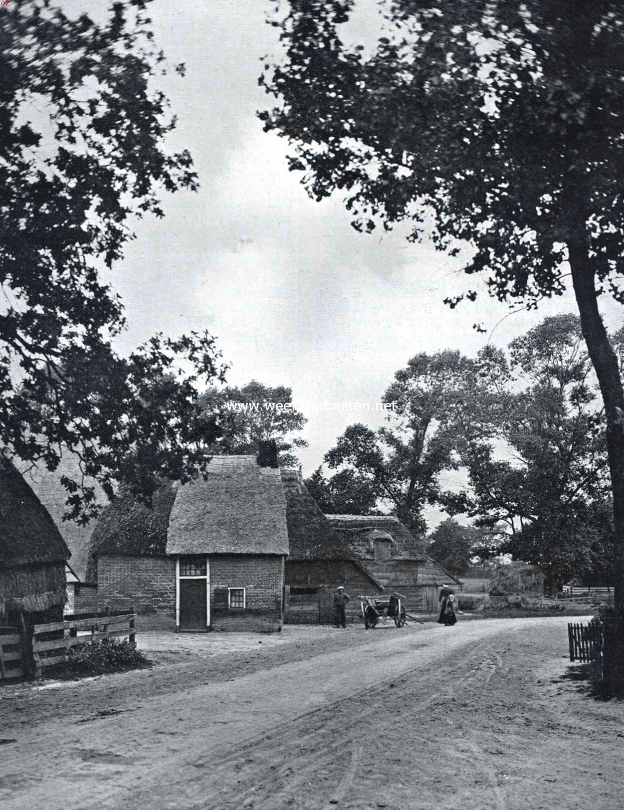 Omzwervingen in het oude landschap. Elp, een schilderachtig dorp op het Ellertsveld