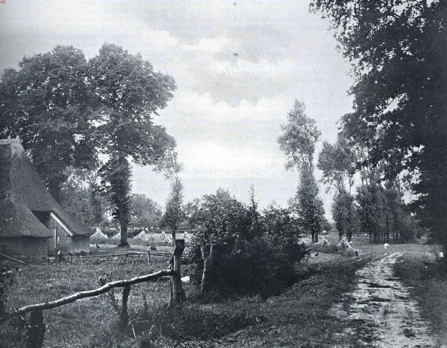 Landweg bij Gieten