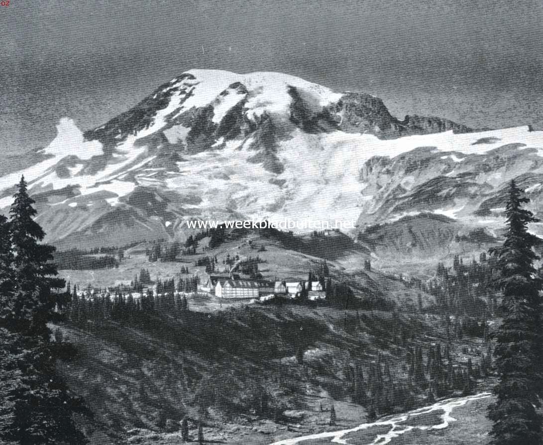 Paradise Valley in het Rainier National Park
