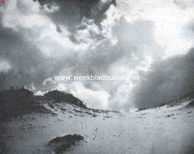 In de Hollandsche Duinen. Verlatenheid in 