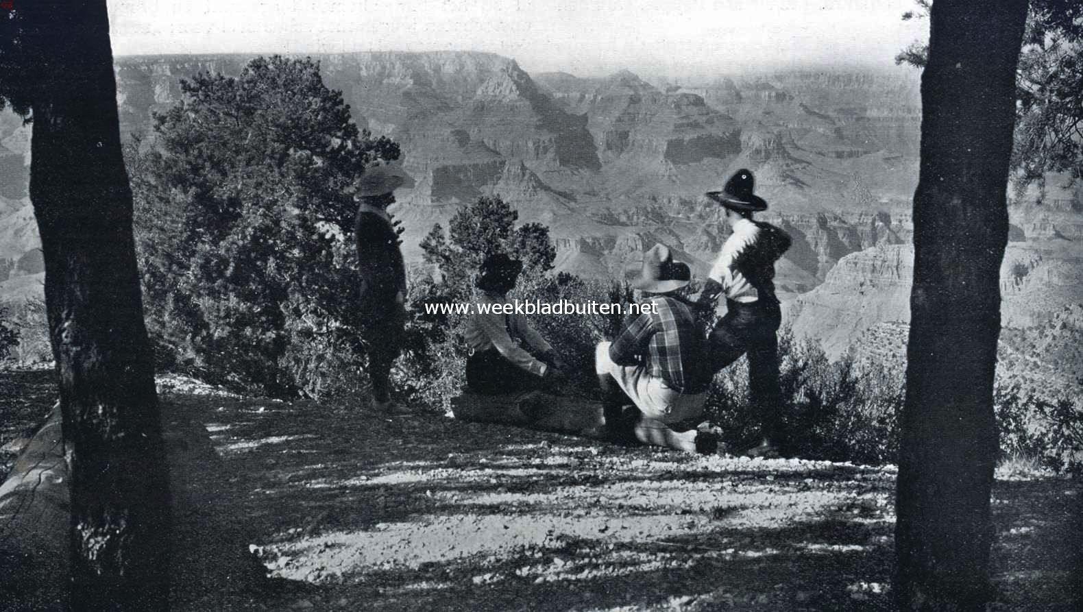 Gezicht op den Grand Canyon in het National Park van Arizona