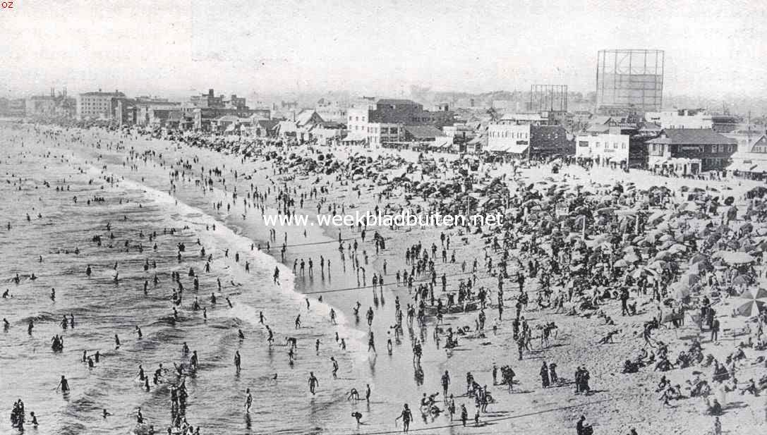 Het strand te Venice (Californi)