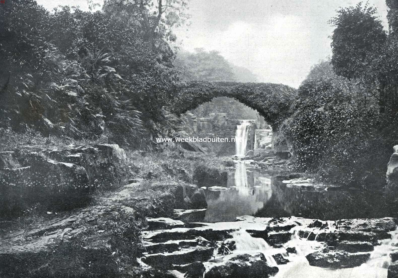 Een idyllisch plekje in Jesmond Dene nabij Newcastle aan de Tyne