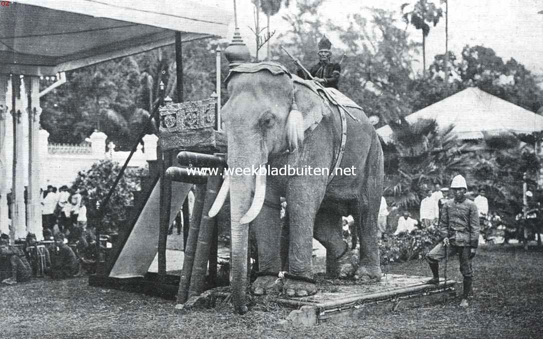 Uit Siam, het land van den witten olifant. Een fraaie witte olifant