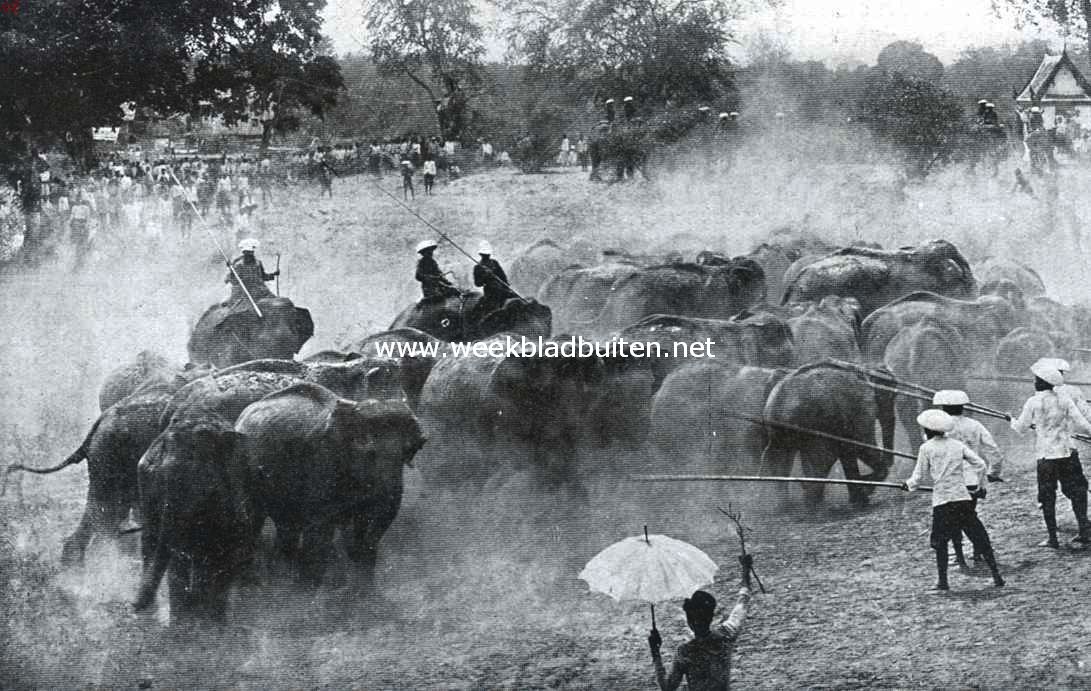 Uit Siam, het land van den witten olifant. Het vooruitdrijven van een kudde wilde olifanten, naar de stad Ayuthia