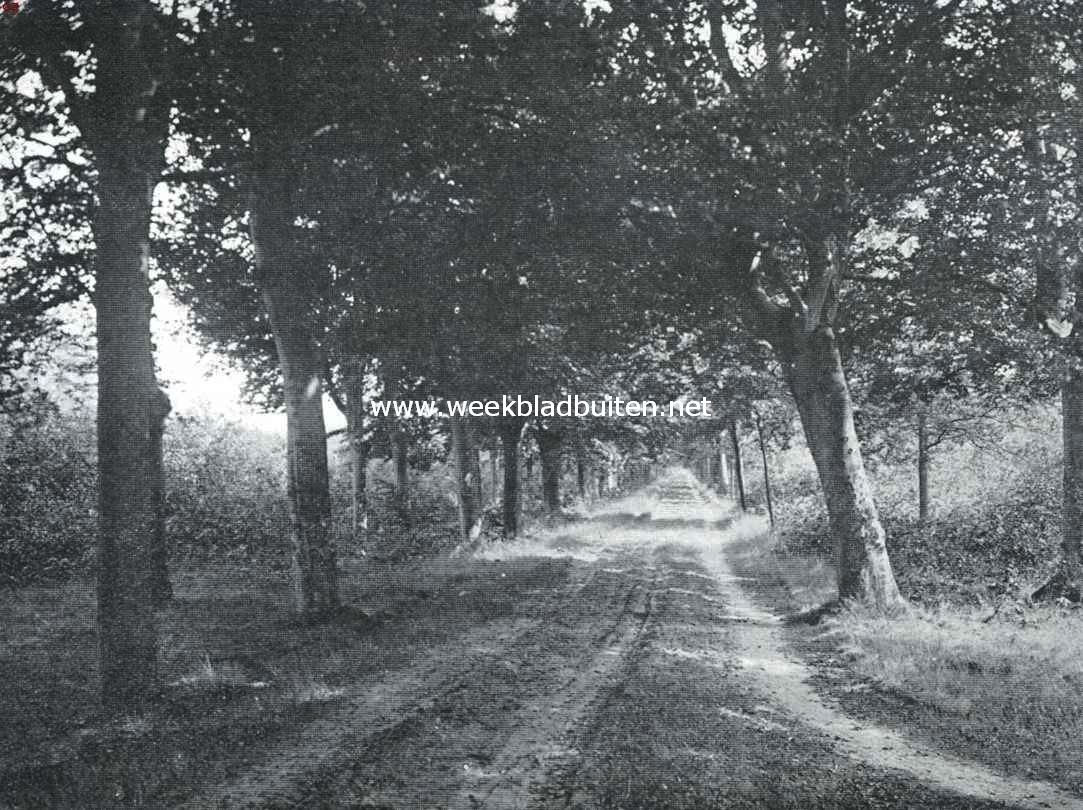 Landweg bij Kippenburg