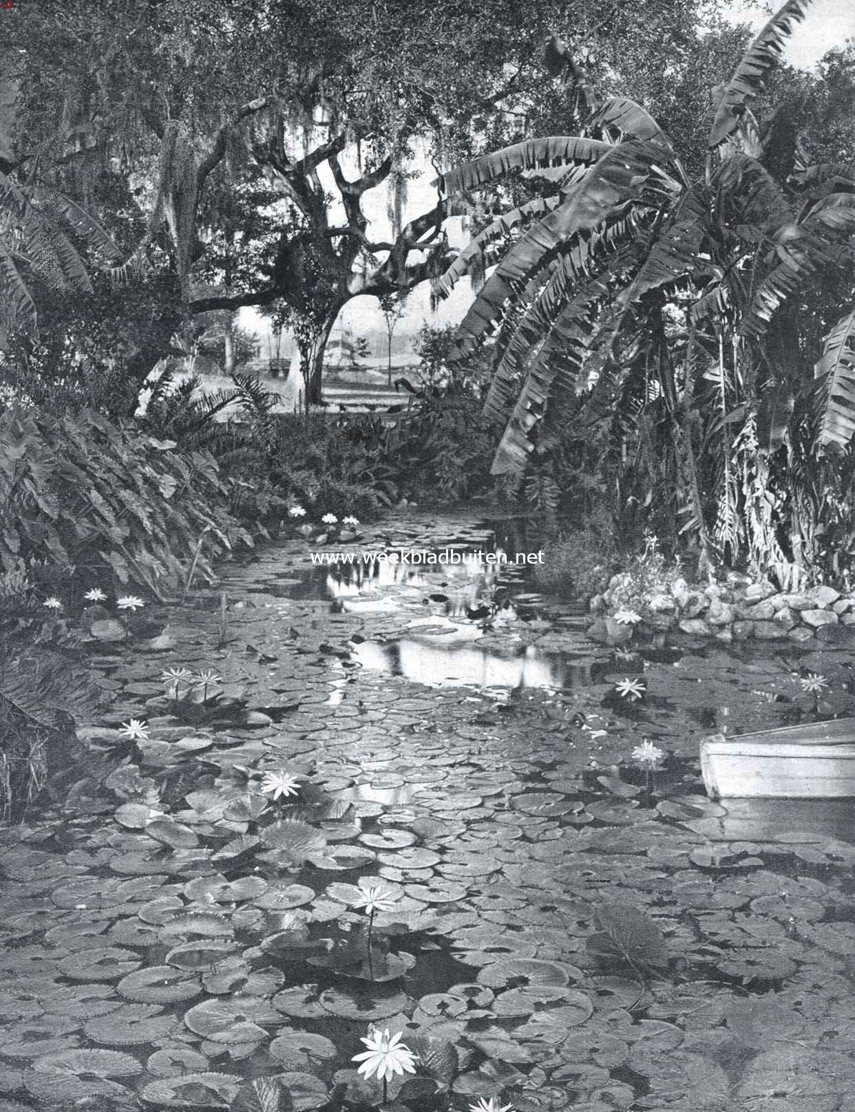 Aan den mond van de Hillborough-rivier in het onlangs zoo geteisterd Tampa (Florida)