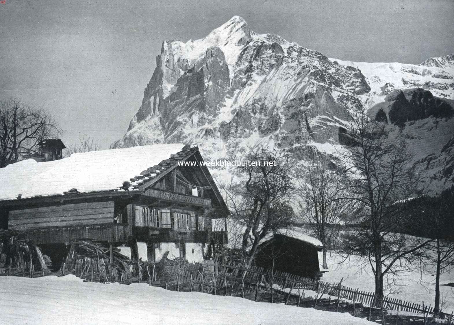 Winter bij den Wetterhorn