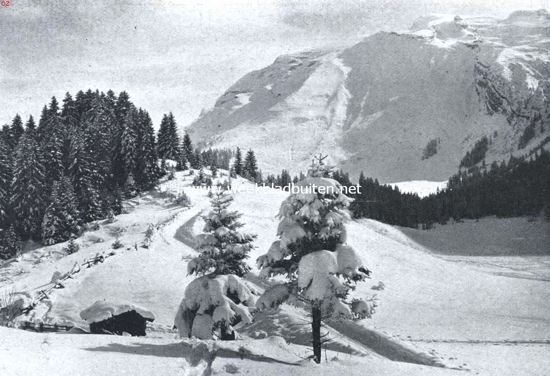 De sleebaan bij Engelberg. Op den achtergrond de Titlis