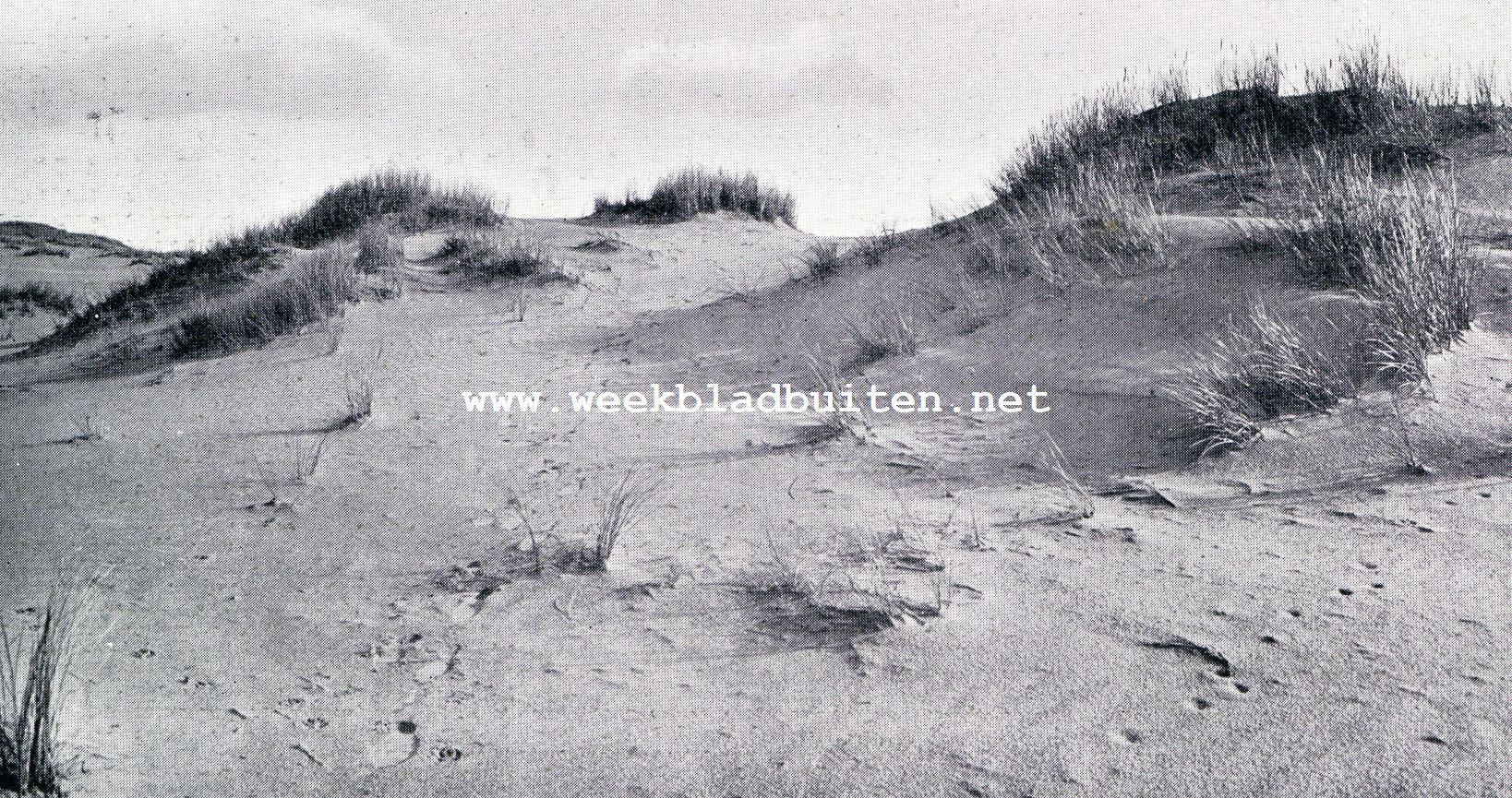 De schoonheid van Soest bedreigd. In het zand der verstuivingen staan de voetprenten van een mensch en dier