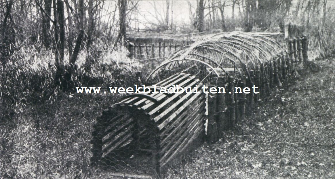 Eendenkooi in het Naardermeer. De fuik, het laatste gedeelte van de pijp