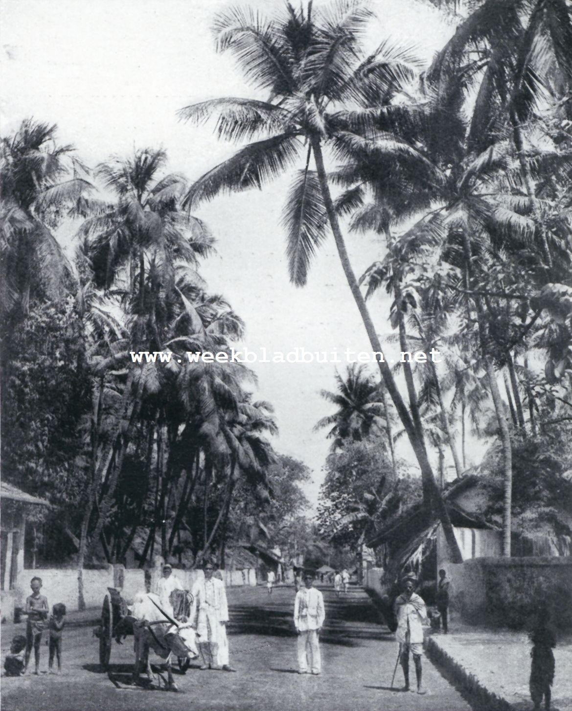 Weg bij Bombay