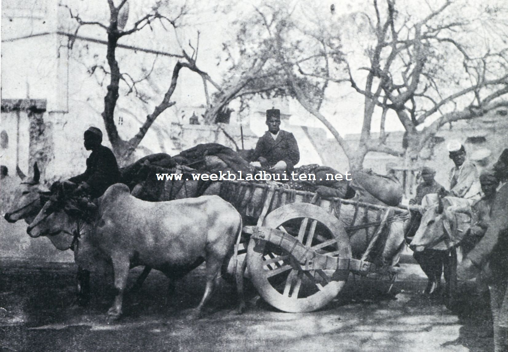 Aspecten van Bombay. Bombay. Indische ossenwagen