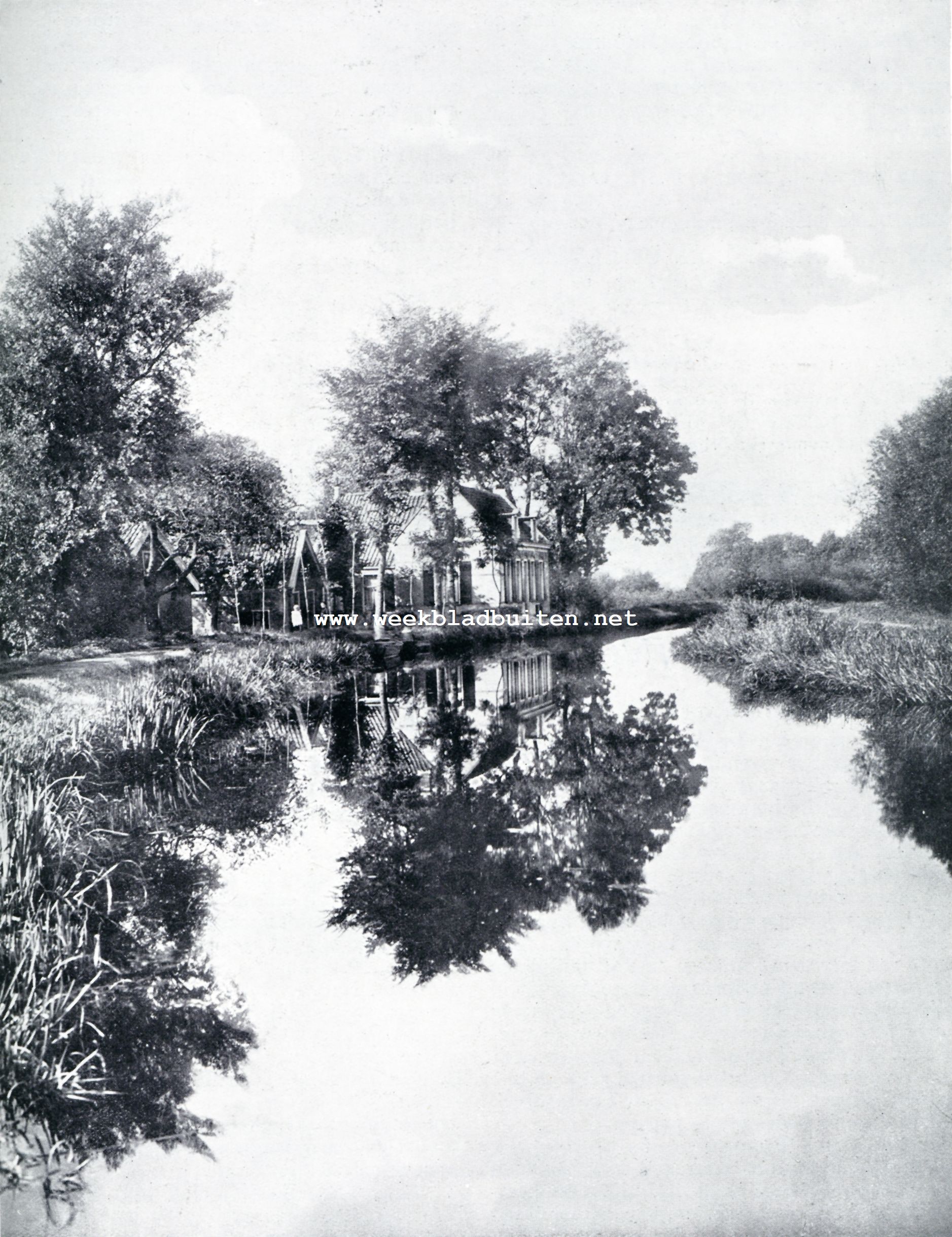 De Angstel bij Klein Nellestein