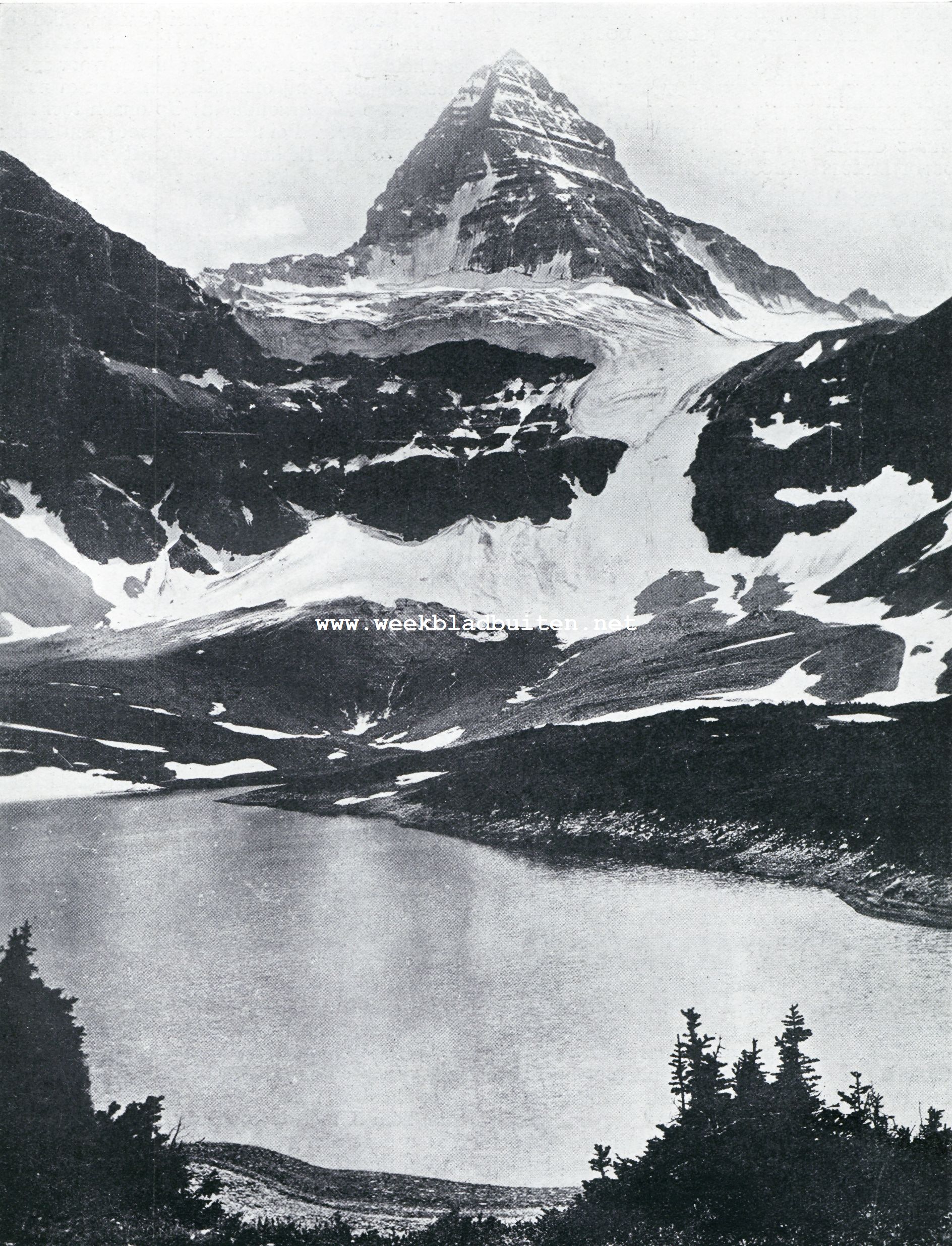 De Mount Assiniboine in Noord-Amerika, welks top sterke gelijkenis vertoont met den Zwitserschen Matterhorn