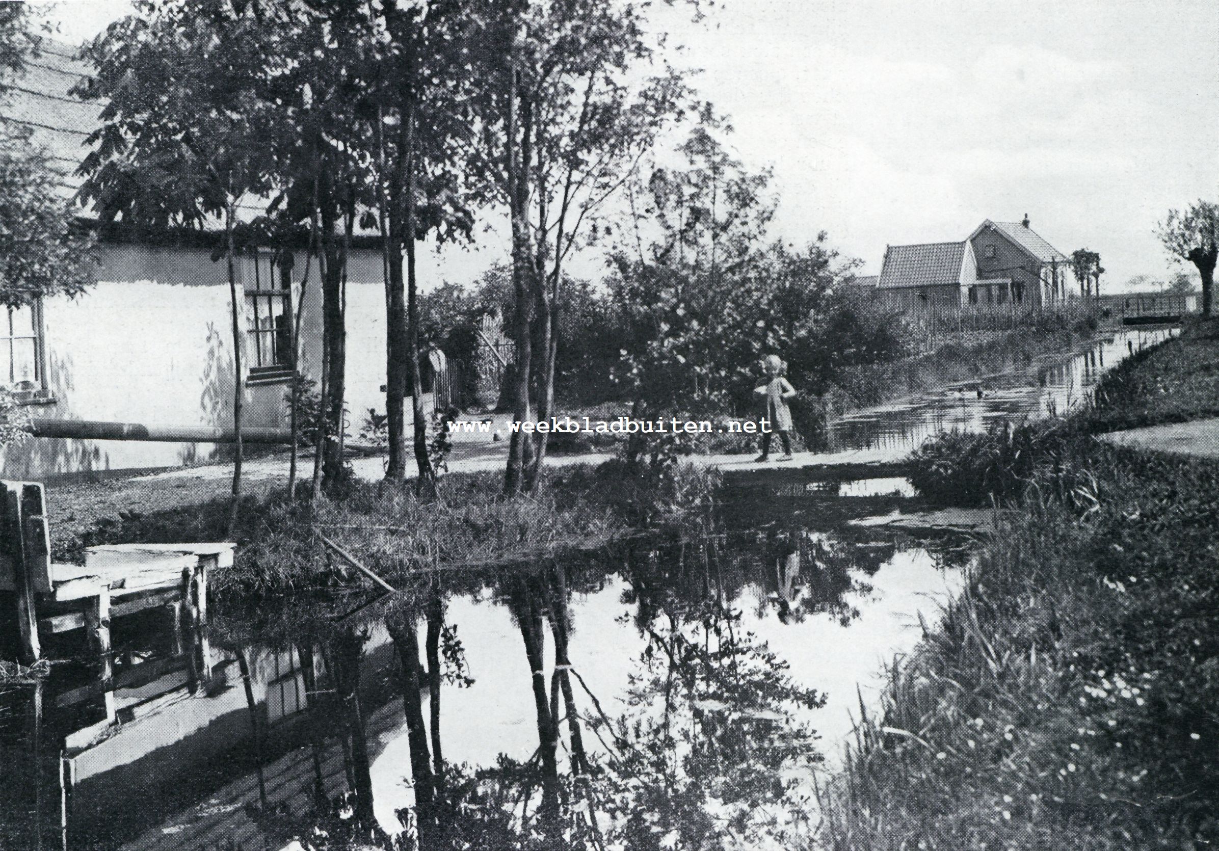 Leimuiden en Rijnsaterwoude. Een schilderachtig plekje bij Leimuiden