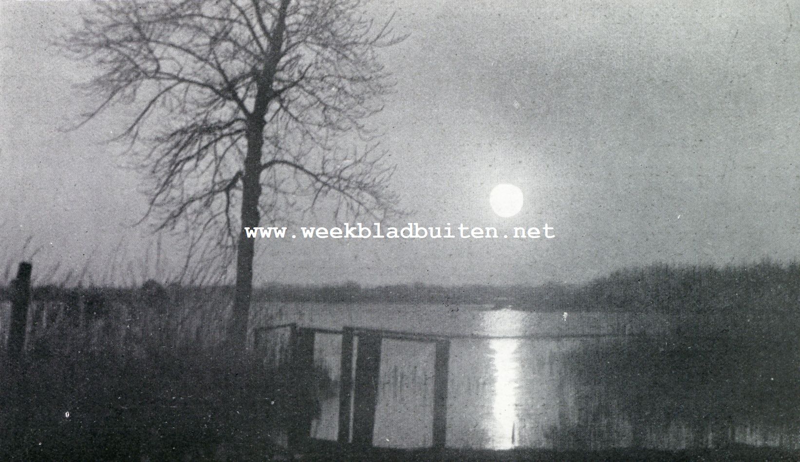 De Reeuwijksche en Sluipwijksche Plassen. Avond op de Nieuwenbroek