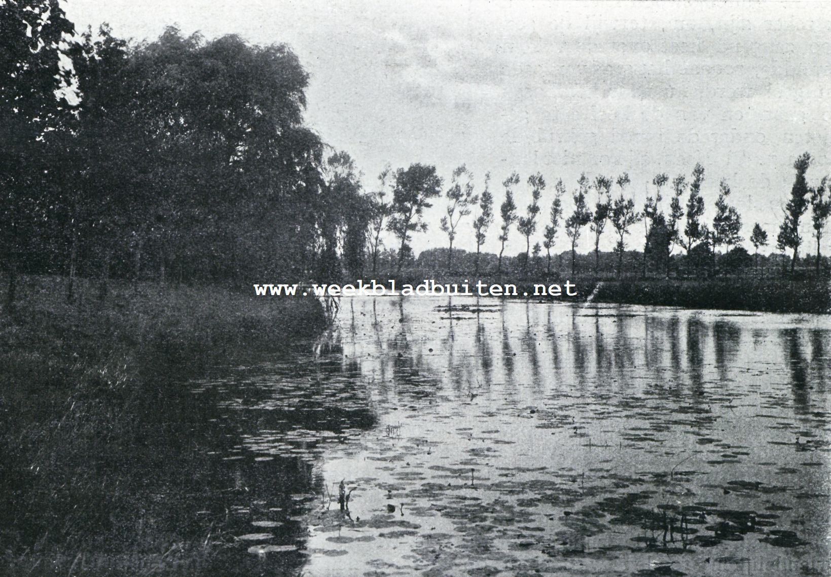 Coevorden. Overblijfsel der oude vestinggracht