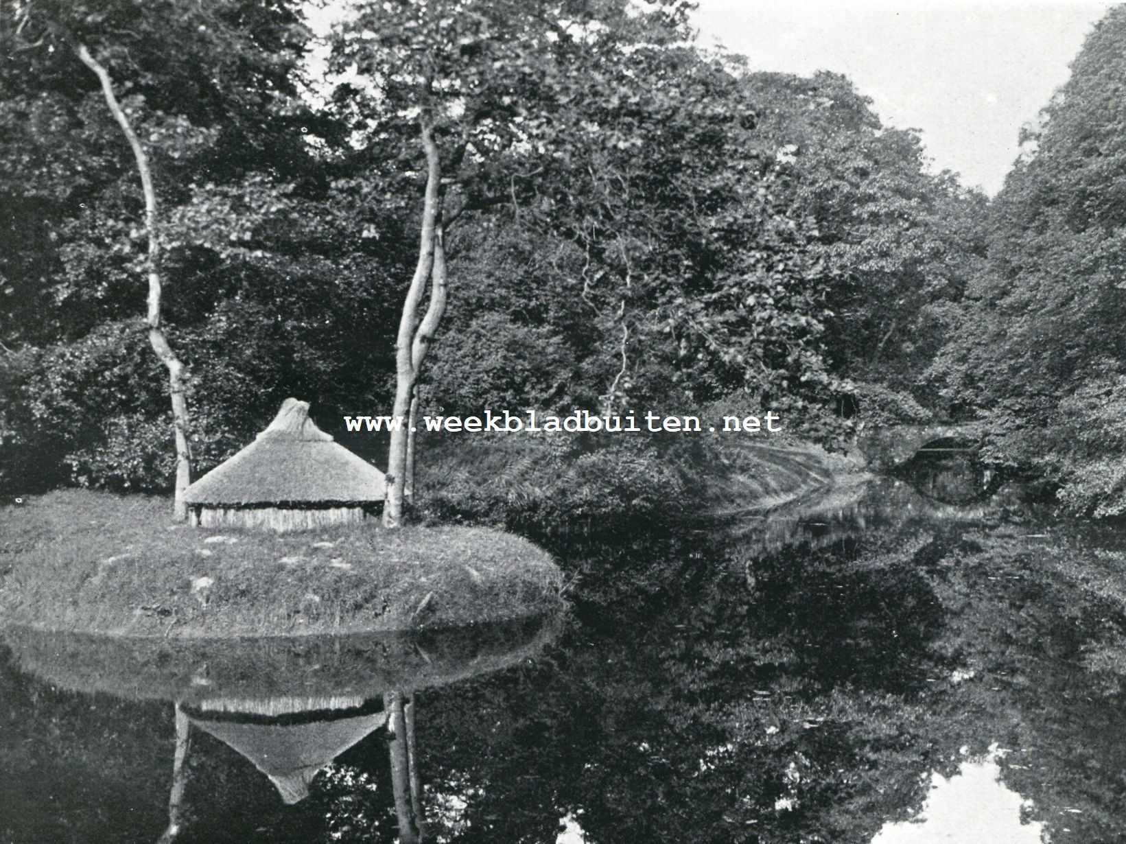 De Friesche Wouden. De Slotgracht van het Landgoed Oranjewoud