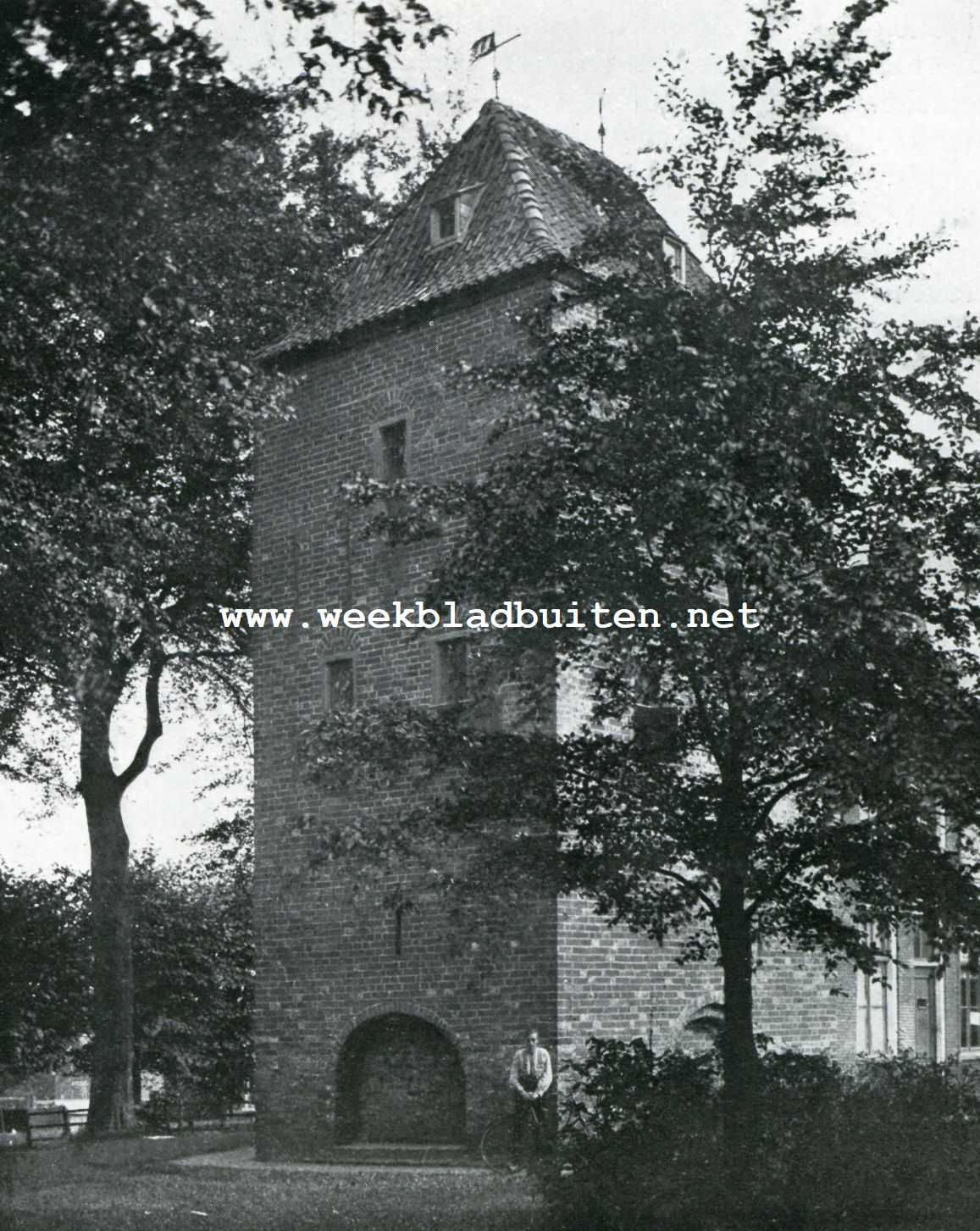 De Friesche Wouden. De Schierstins te Veenwouden