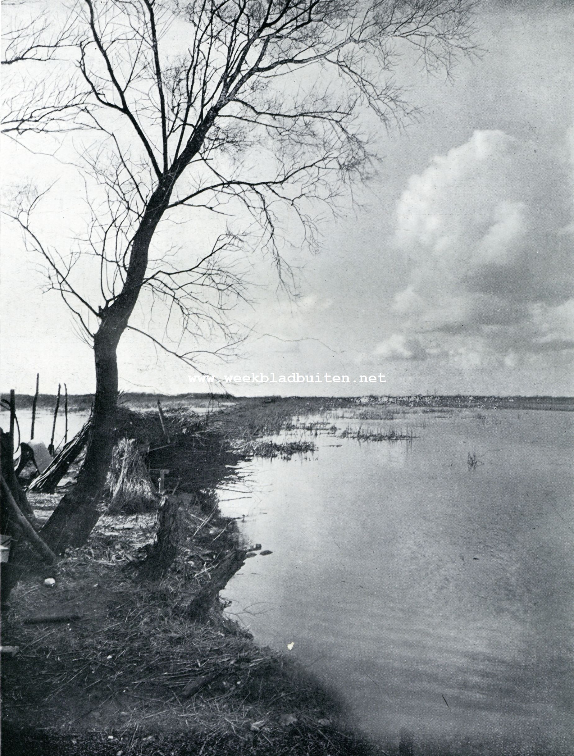 Aaan de Ankeveensche Plassen