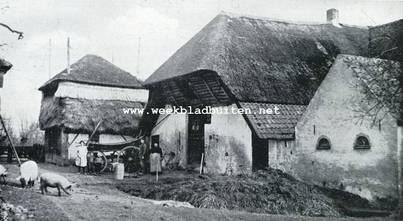 Uit het land van de Linge. Boerderij in het land van de Linge