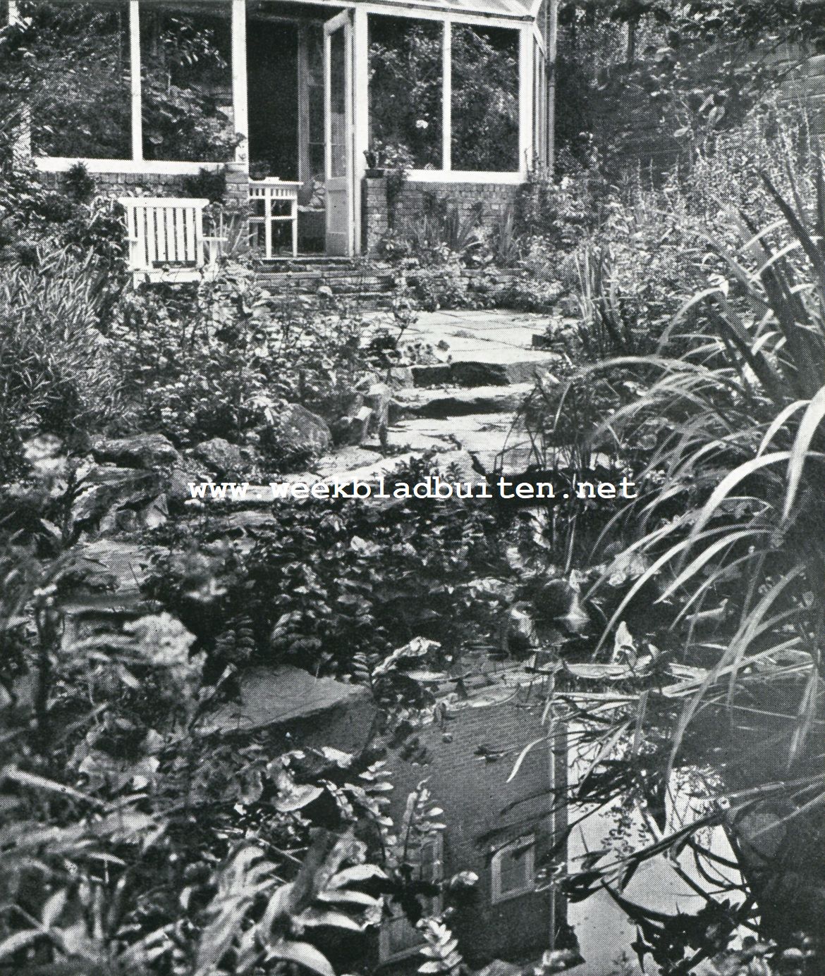 De tuin in Holland. Een idyllisch natuurtuintje, Van Beuningenstraat 20, 's-Gravenhage