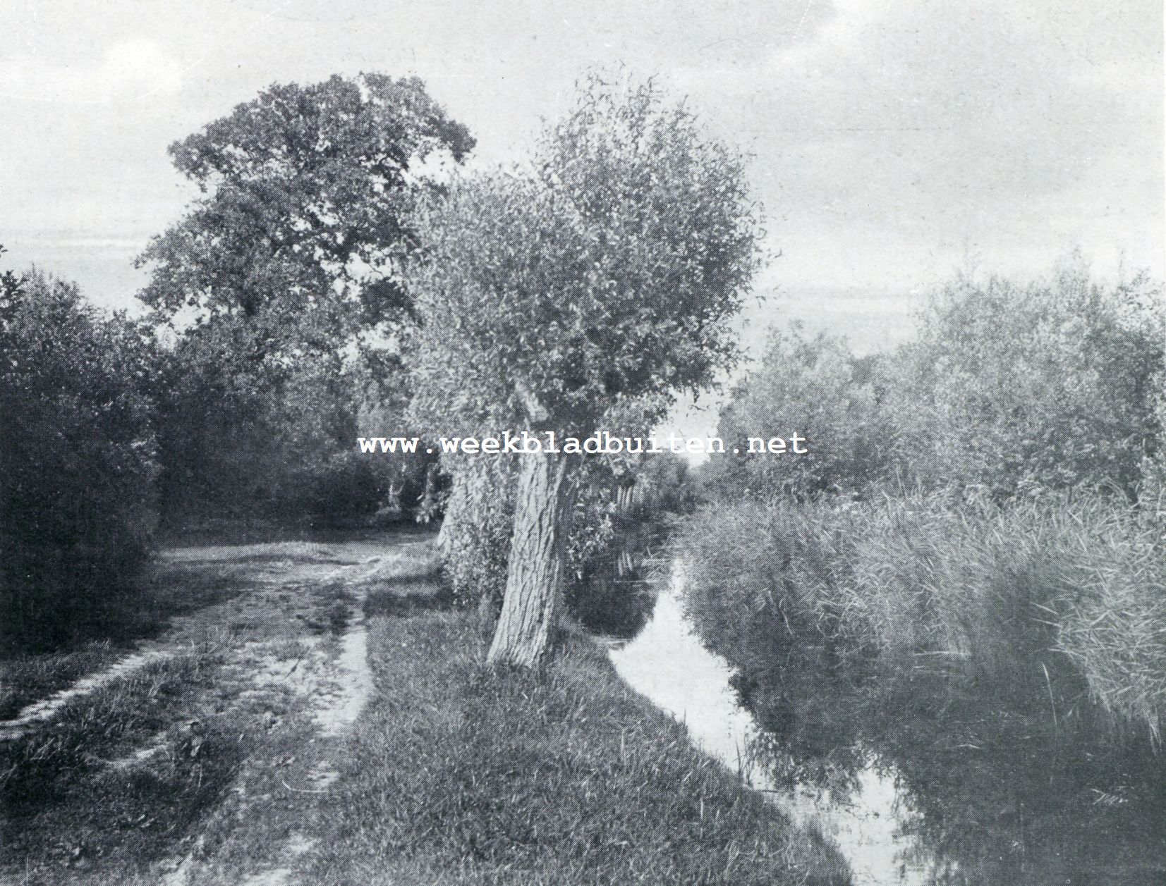 Het behoud van het Heiloor Bosch. De Zandersloot in  het Heiloor Bosch