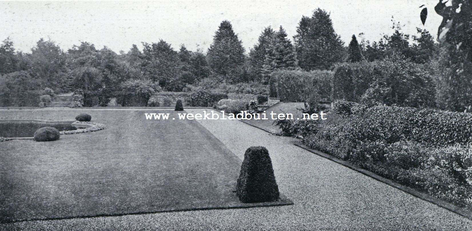 De tuin in Holland.  't Valkenbosch. Bloemborders en tuintrap naar het bosch