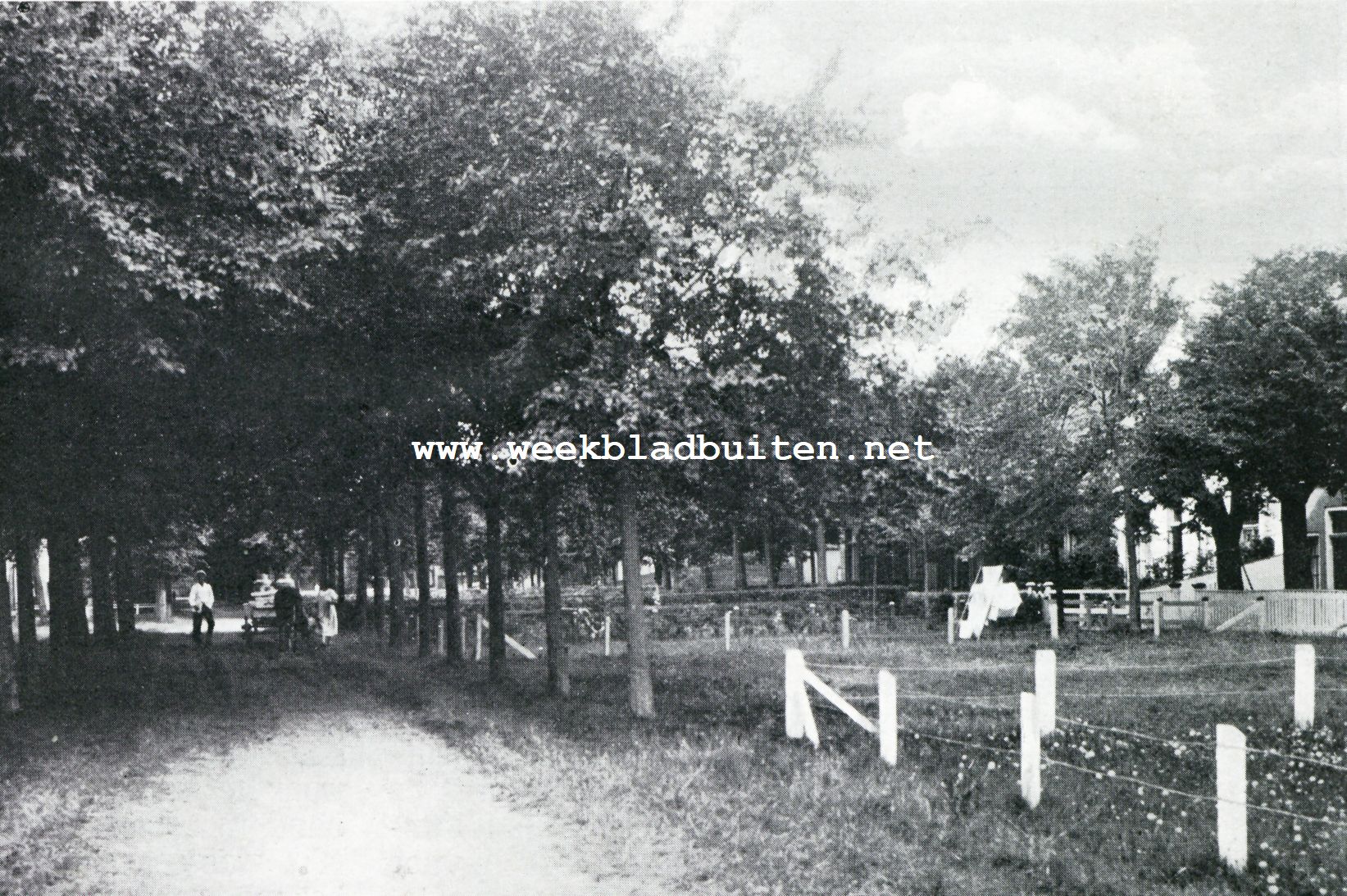 Schiermonnikoog. Kleine huisjes met groote bleekvelden liggen aan den breden Zandweg