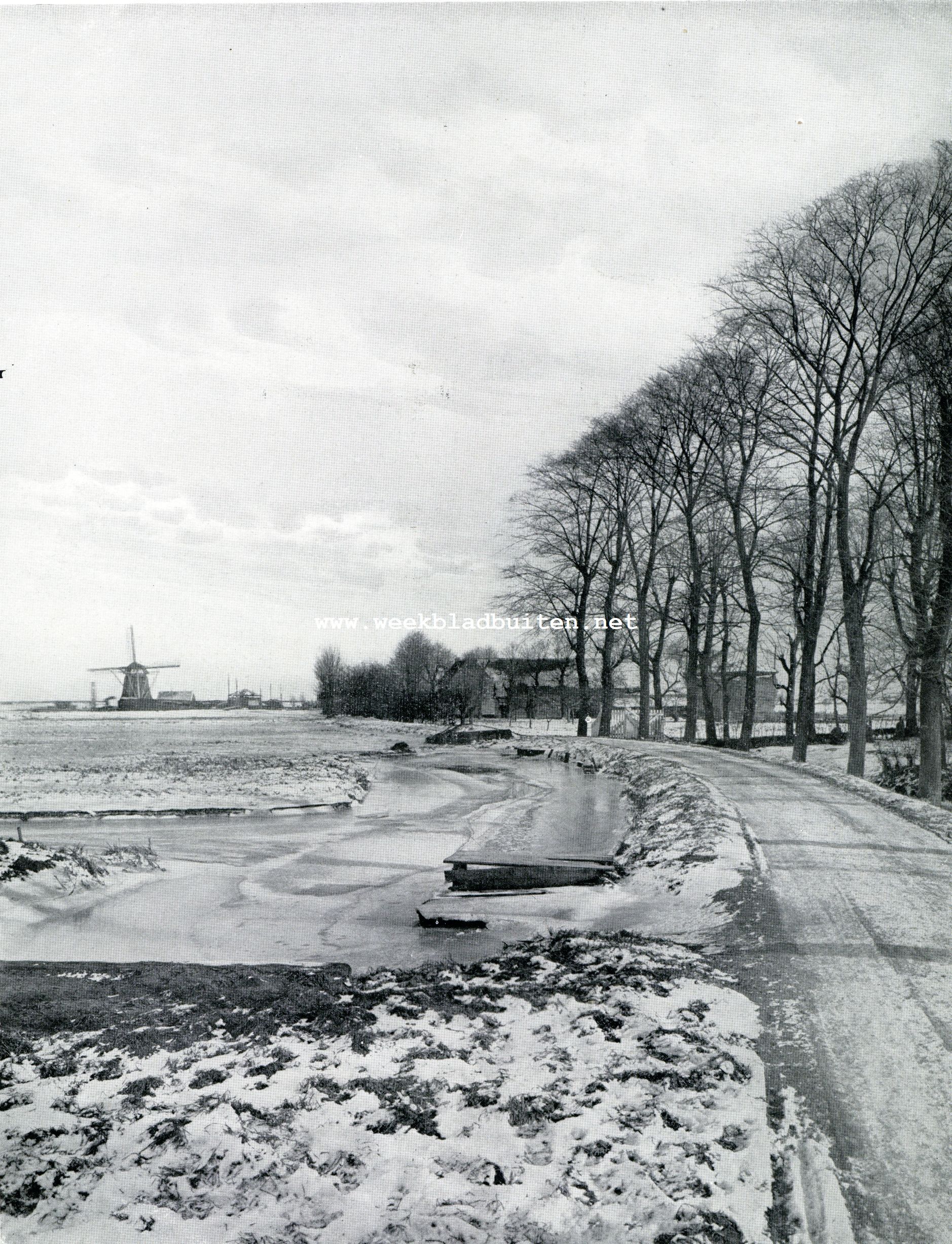 Winterlandschap langs de Diem