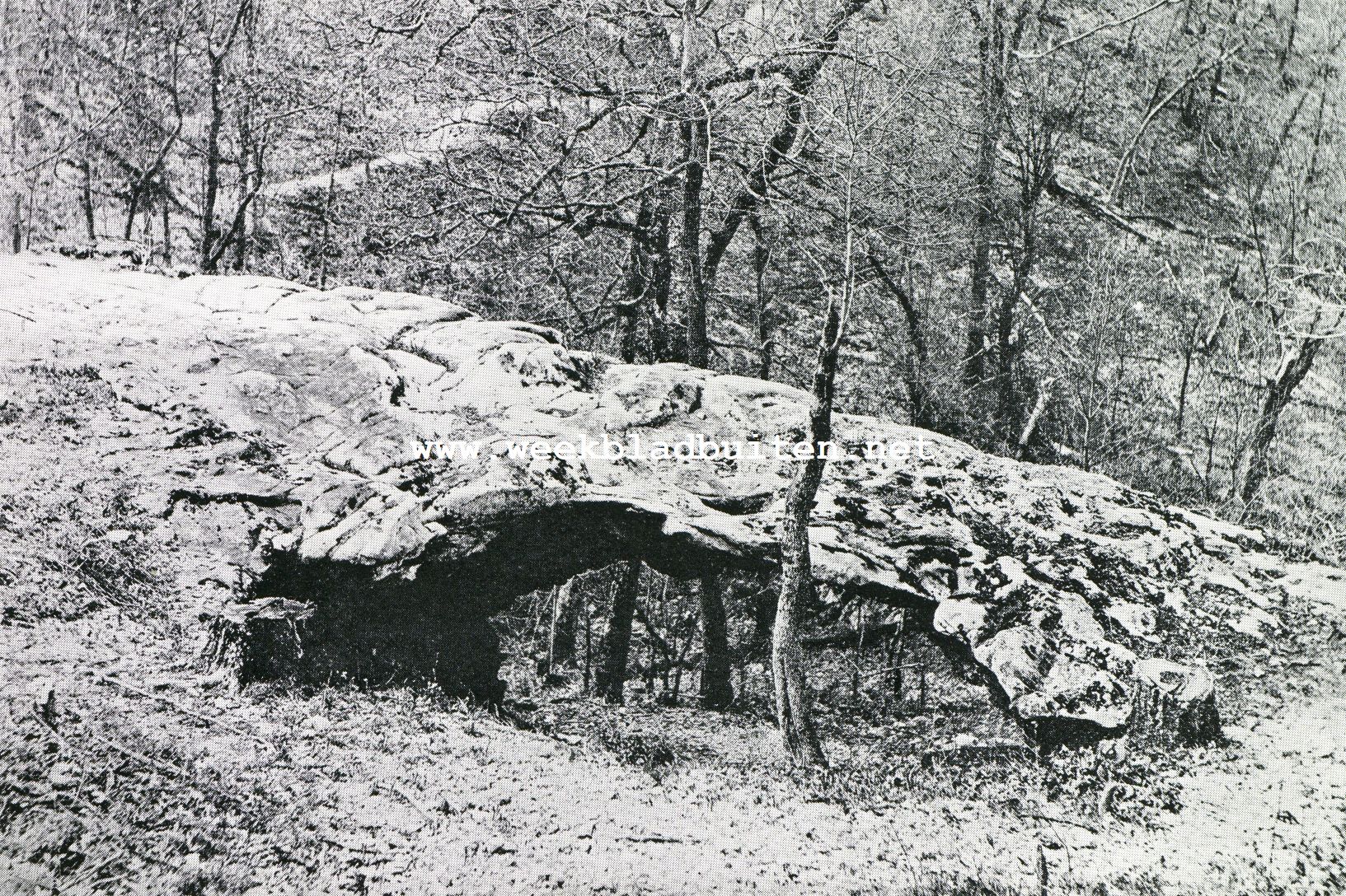 De natuurschatten van het Ozark-gebergte. Natuurlijke brug nabij Eureka Springs (Arkansas)