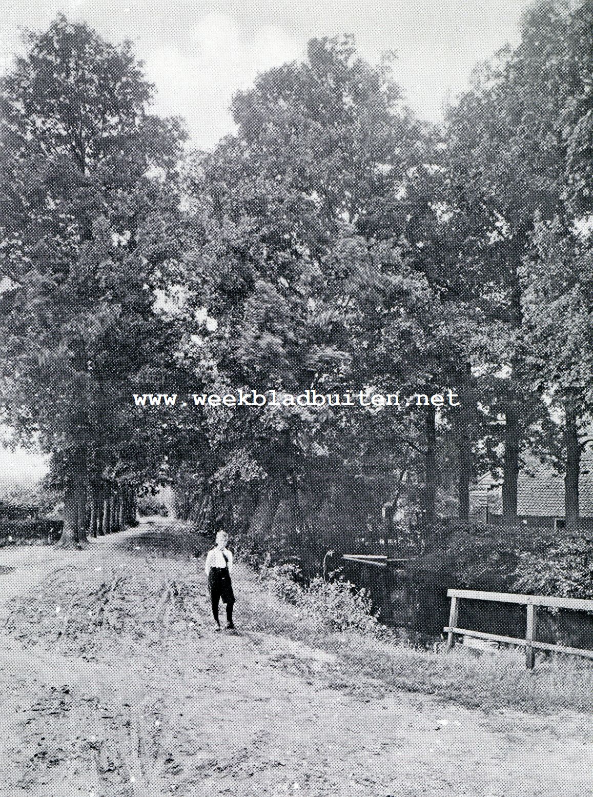 Aan en bij de Luntersche Beek. De Luntersche Beek bij de Mofferbrug