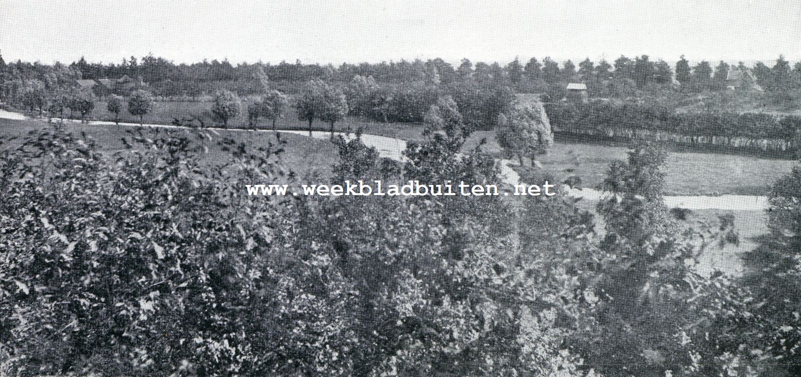 Aan en bij de Luntersche Beek. Het dal van e Luntersche Beek bij Amersfoort, gezien van 