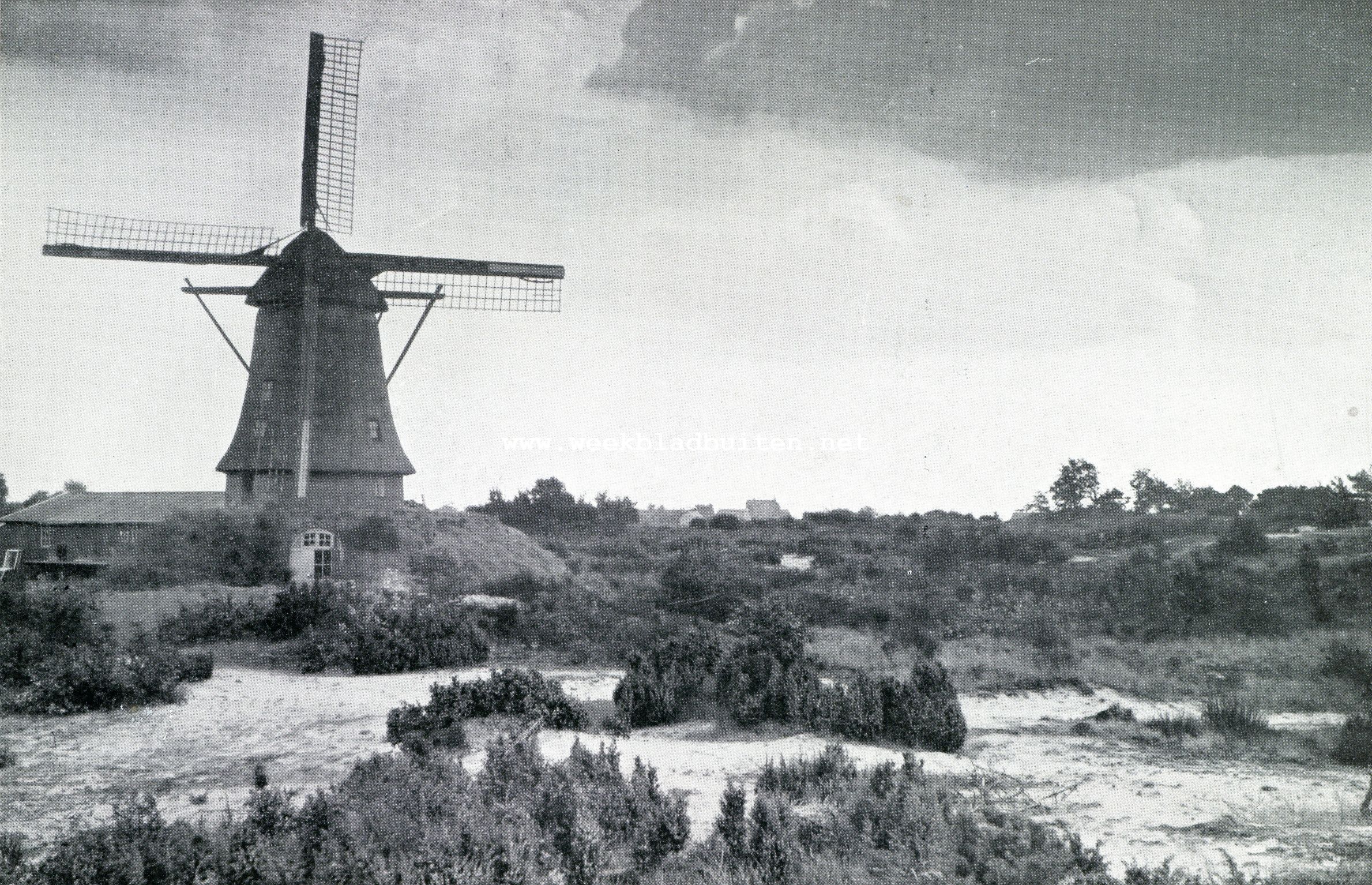 Beerse en zijn belten. Molen op de heide bij Marinberg