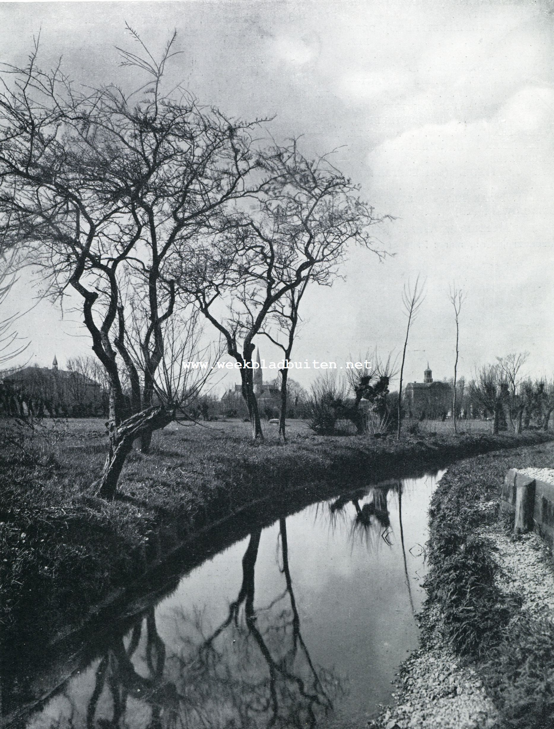 In het polderland bij Wilnis