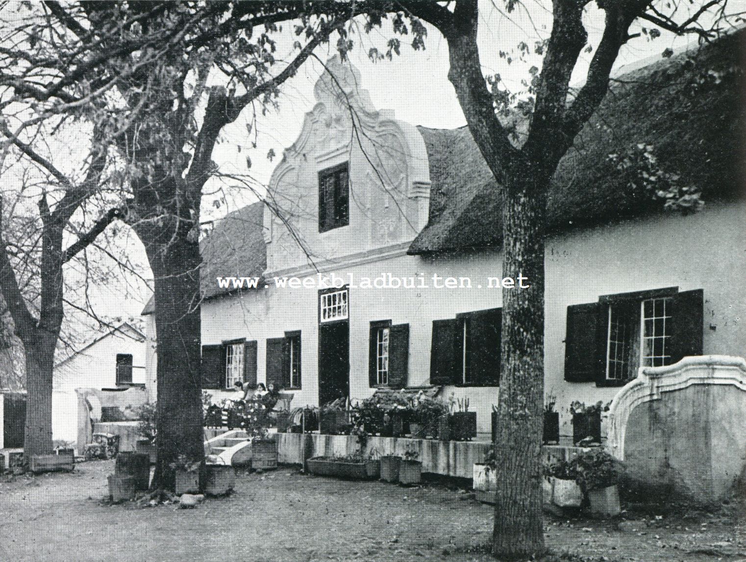 Van 