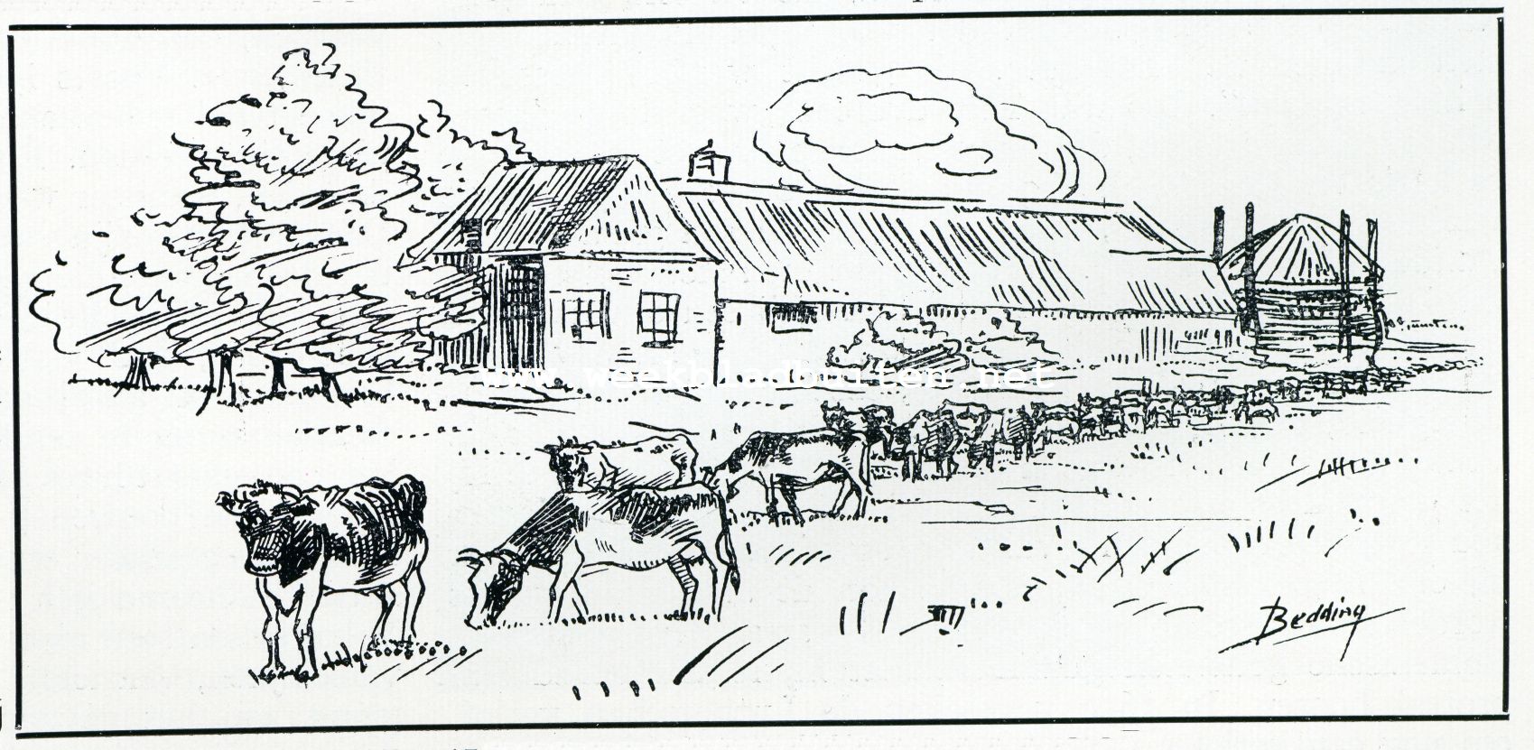 Over den korenbouw. Alleen op een rij achter elkaar
