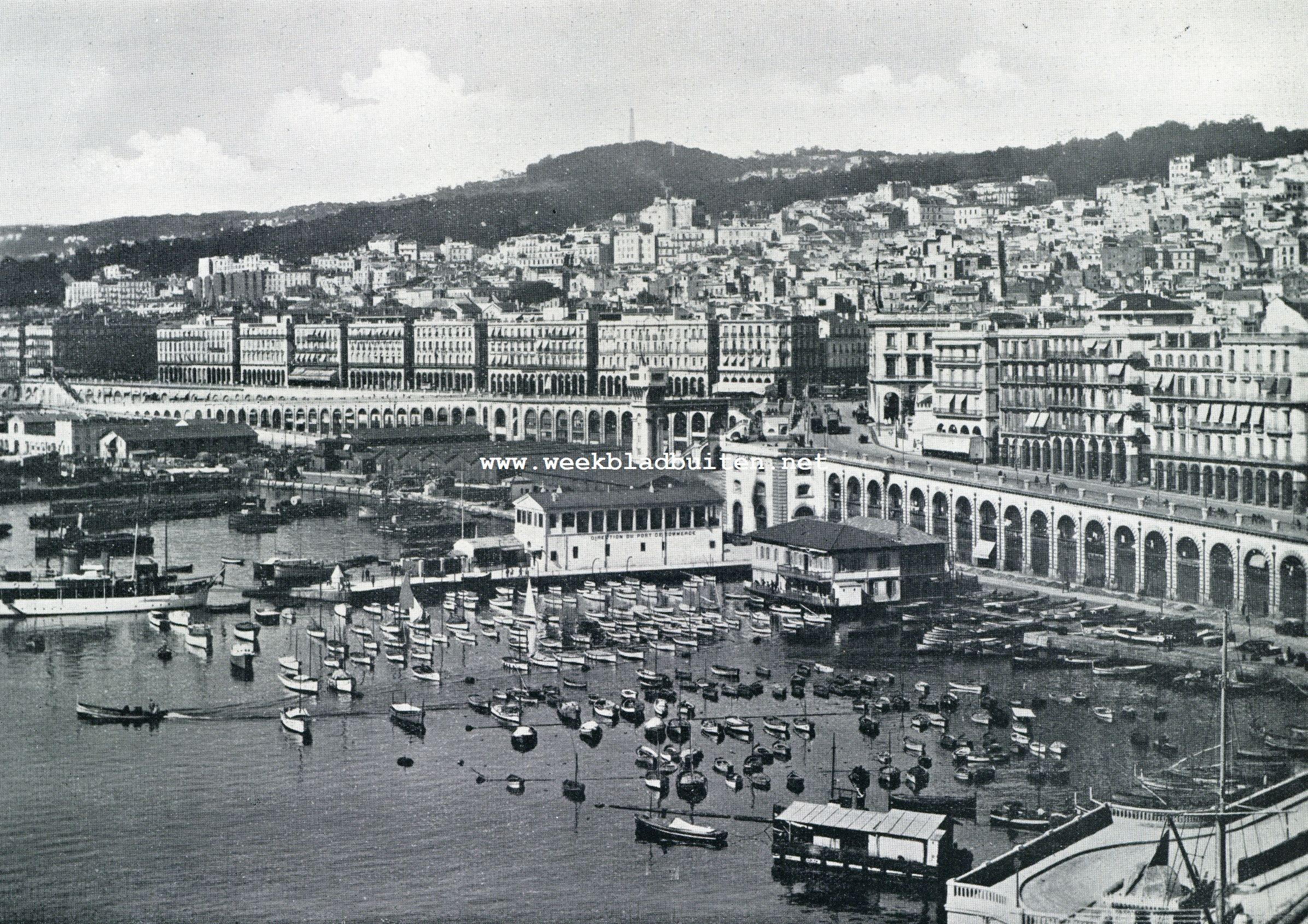 ALGIERS GEZIEN VANAF DEN VUURTOREN