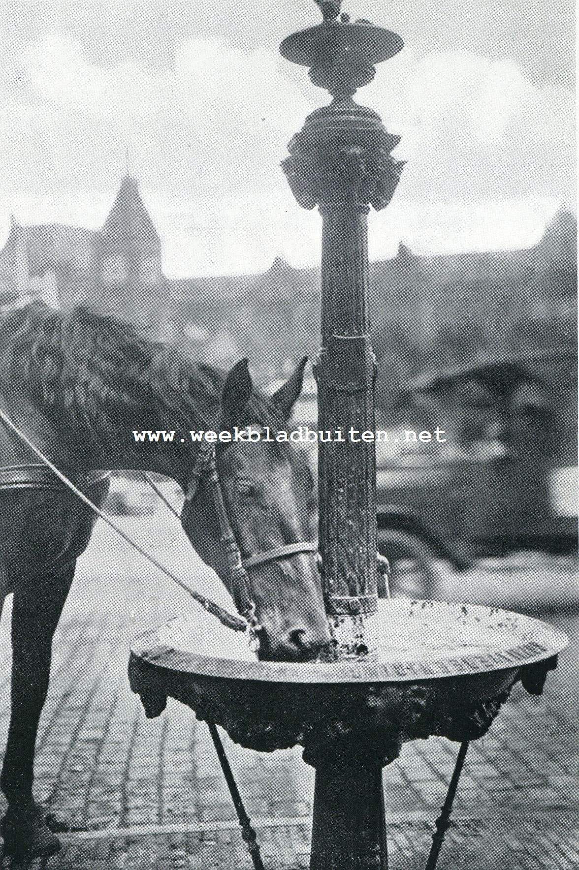 De fonteinen van Amsterdam. Koel en verfrisschend