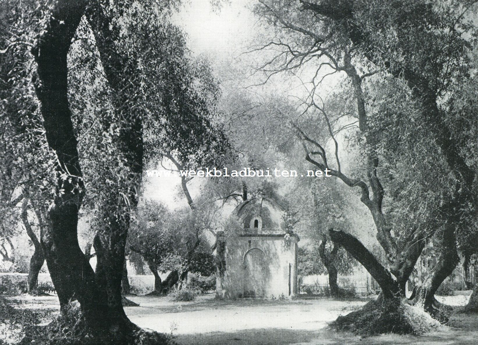 Algiers. Koubba in het Heilige Bosch te Blida