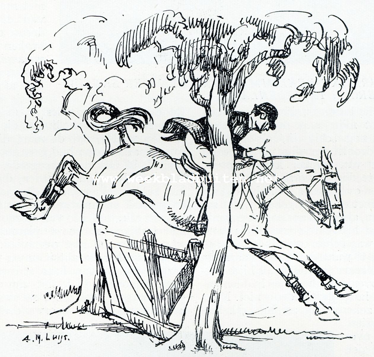 Concours Hippique bij den Houtboer. 'n Schilderachtige hindernis