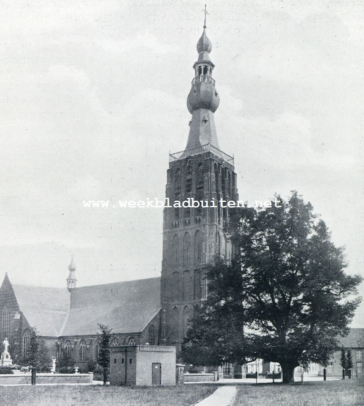 Hilvarenbeek. Kerktoren en lindeboom
