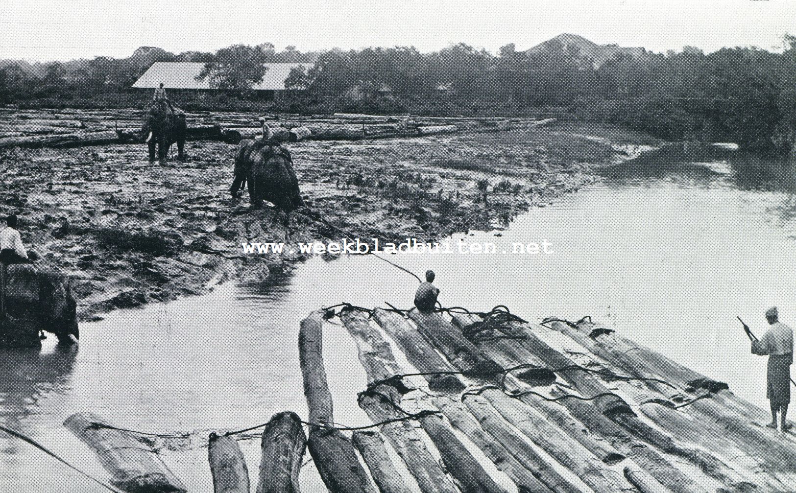 In het hart van Cambodja. Olifanten aan het werk bij Rangoon