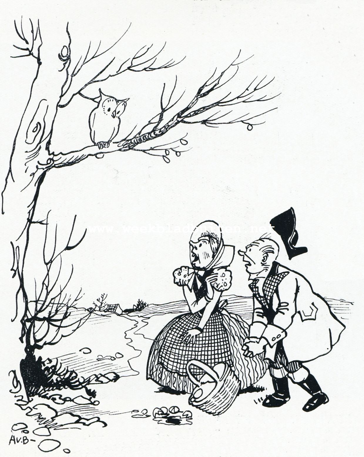 De uil. 