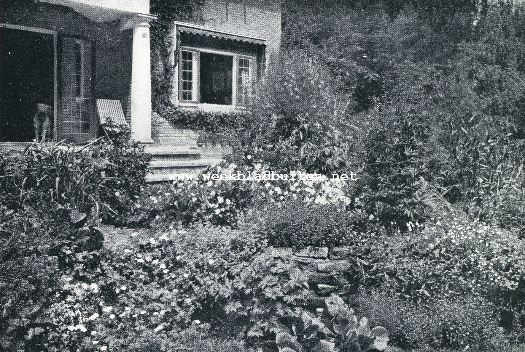 Begroeide muurtjes. De achtste en de laatste foto van de inzending welke in den fotowedstrijd met den eerste prijs werd bekroond